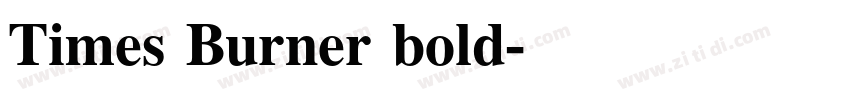 Times Burner bold字体转换